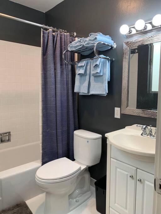Golden Gate Park Sweet Home- 3 Bedrooms サンフランシスコ エクステリア 写真